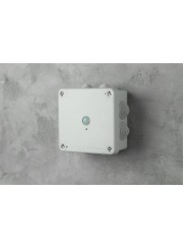 UltraLife spy camera in...